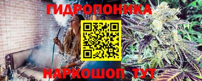 СК Бугуруслан